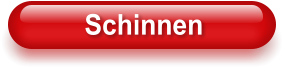 Schinnen